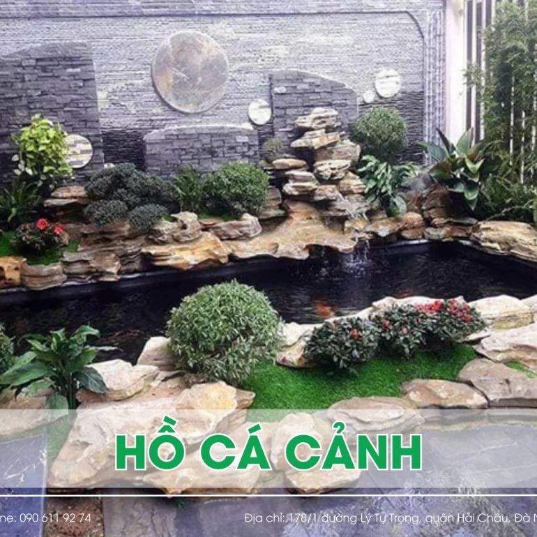Hồ Cá Cảnh: Hướng Dẫn Tạo Hồ Cá Cảnh Đẹp, Bền Vững và Thu Hút